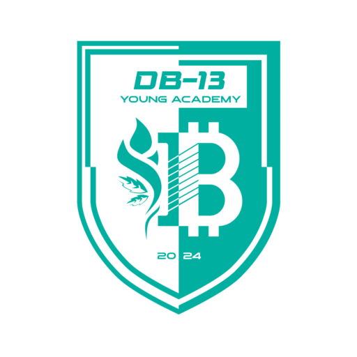 DB13 Academy